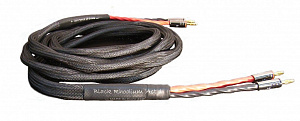 BLACK RHODIUM ACT 1 BANAN 2.0M  в салоне HiFi Audio в СПб
