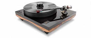 GOLD NOTE GIGLIO WALNUT в салоне HiFi Audio в СПб