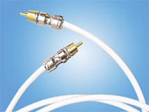 BLACK RHODIUM RHYTHM DIGITAL RCA 5.0M в салоне HiFi Audio в СПб